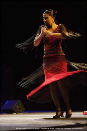VivaFlamenco43